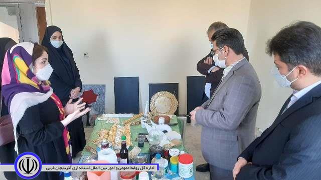 بازدید فرماندار شاهین دژ از آموزشگاه نقاشی سرکارخانم محمدی