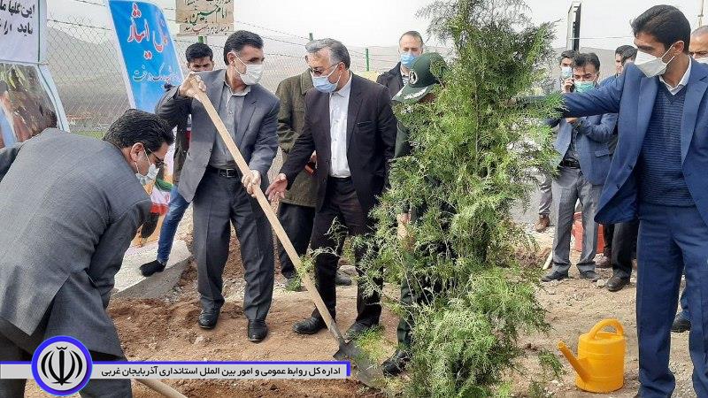 کاشت درخت توسط معاون سیاسی، امنیتی و اجتماعی استانداری آذربایجان غربی در روز درختکاری در شاهین دژ