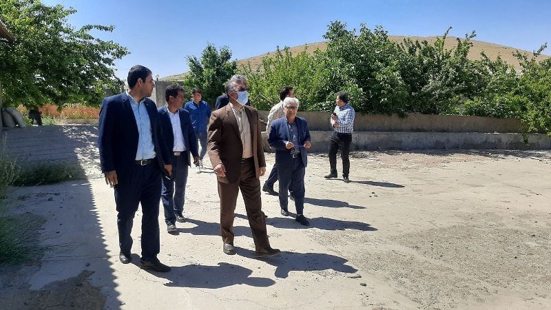 بازدید فرماندار شهرستان شاهین دژ از واحد گاوداری